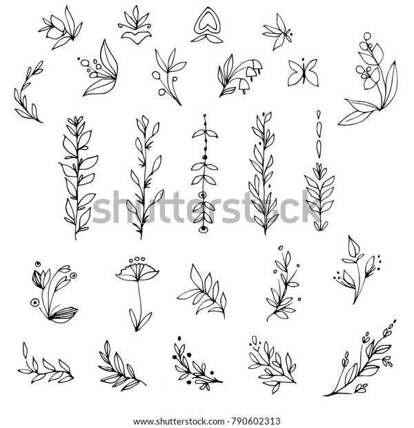 Hand drawn floral elements, leaves\
and branches. Black and white botanical\
drawings.
