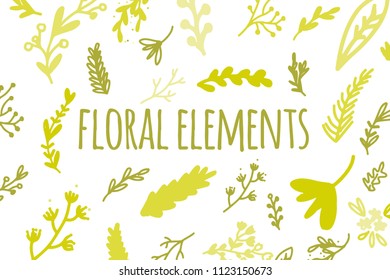 Hand drawn floral elements for our desig Leaves, flower. Vintage illustration