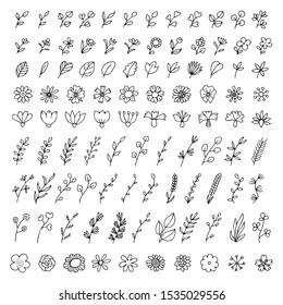 Hand drawn floral elements set. Big set of icons for wedding, congratulation card, poster, coloring page.