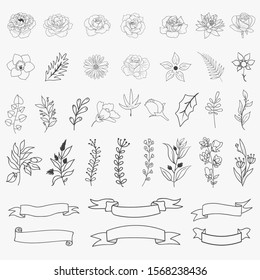 Hand Drawn Floral Elements set