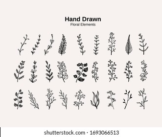 Hand drawn floral elements set collection vector