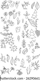 Hand Drawn floral elements. Set of floral elements, leaves, swirls, border. Decorative vector doodle.