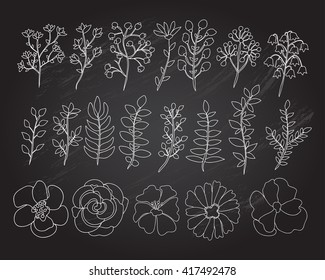 Hand drawn floral elements set. Branches with leaves and flowers. Can be used for invitations, greeting, wedding, anniversary cards, stationery