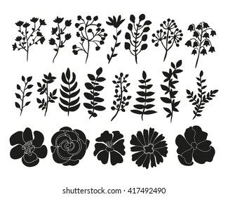 Hand drawn floral elements set. Branches with leaves and flowers. Can be used for invitations, greeting, wedding, anniversary cards, stationery