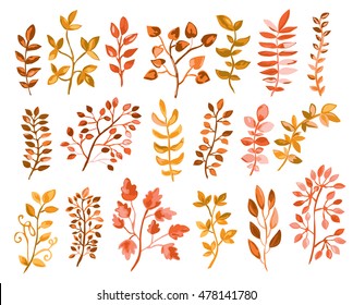 Hand drawn floral elements set. Branches with leaves. Can be used for invitations, greeting, wedding, anniversary cards, stationery. All elements are editable