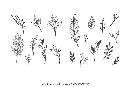 Hand drawn floral elements. Swirled, flowers with leaves and branches. Doodle botanical elements. 