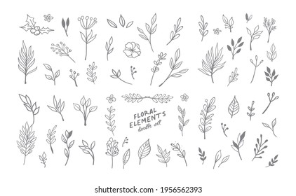 Hand drawn floral elements. Swirls, laurels, arrows, leaves, flowers and branches. Doodle botanical elements. 