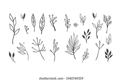 Handgezeichnete Blumenelemente. Wirbel, Lorbeeren, Pfeile, Blätter, Blumen und Äste. Doodle botanische Elemente. 