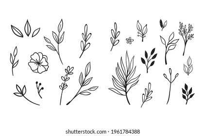 Hand drawn floral elements. Swirls, laurels, arrows, leaves, flowers and branches. Doodle botanical elements. 