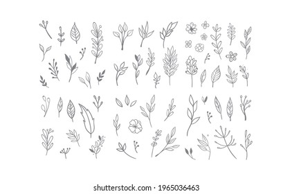 Hand drawn floral elements. Swirls, laurels, arrows, leaves, flowers and branches. Doodle botanical elements. 