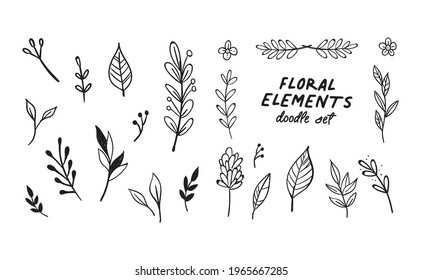 Hand drawn floral elements. Swirls, laurels, arrows, leaves, flowers and branches. Doodle botanical elements. 