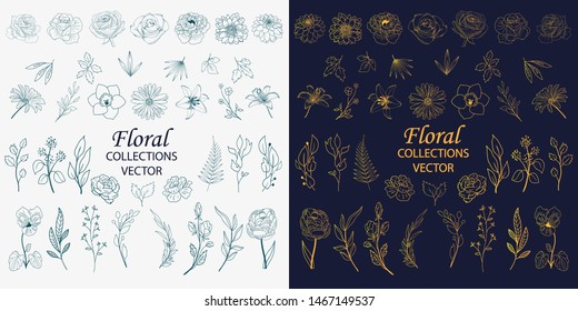 Hand Drawn Floral Elements Vector
