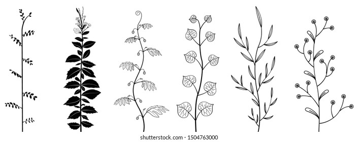 Hand drawn floral elements. Vector branches and leaves set. Vintage botanical illustrations.