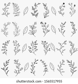 Hand Drawn Floral Elements Vector