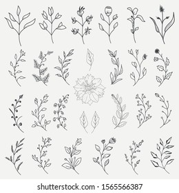Hand Drawn Floral Elements Vector