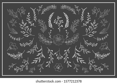 Hand Drawn Floral Elements Vector
