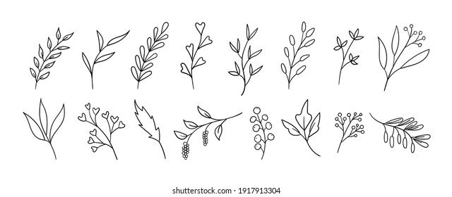 Hand Drawn Floral Elements. Vector Ink Doodle Leaves, Branches, Plants. Line Art Sketch