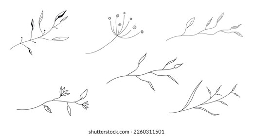 Hand Drawn Floral Elements.Set of vector plant branches with leaves.Illustration in hand drawn line style.Vector elements for wedding design.Trendy for tattoo design.Vector elements for logo design.