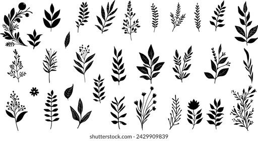 hand drawn floral elements. Vector set botanical illustration. Leaves and flowers set icons. Scribble brush collection. 