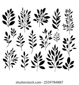 Hand drawn floral elements. Vector set botanical illustration. Minimalist plant symbols. Black silhouette branches . 