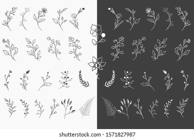 Hand Drawn Floral Elements Vertor