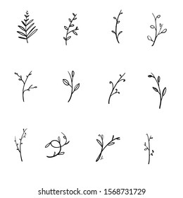 Hand drawn floral elements. Vintage leaves botanical illustrations. with doodle style vector isolated on white