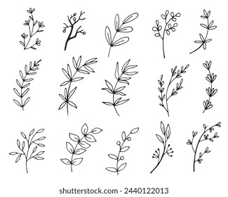 Hand drawn floral elements. Vintage botanical illustrations.