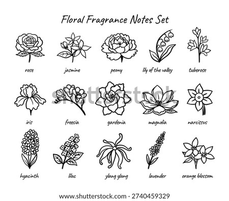 Hand drawn floral fragrance notes collection with rose jasmine peony iris lavender magnolia narcissus botanical perfume elements isolated on white background. Vector illustration