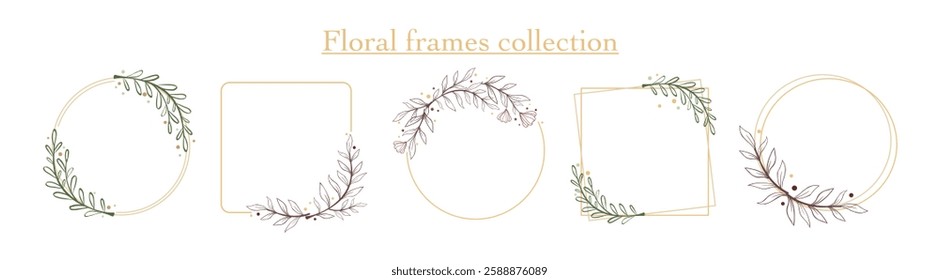 Hand drawn floral frames with flowers, branch and leaves. Elegant frame. Botanical vector illustration for labels, corporate identity, wedding invitation, logo