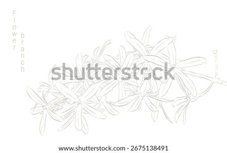 Hand drawn floral frames with flowers, branch and leaves. Elegant logo template. Vector illustration for labels, branding business identity, wedding invitation. Botanical Set Abstract Illustration