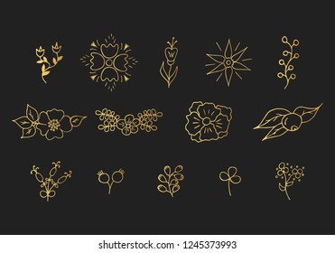 Hand drawn floral golden branches, leaves and flowers set. Gold botanic borders. Vector isolated elements. Wedding dividers for invitation card.