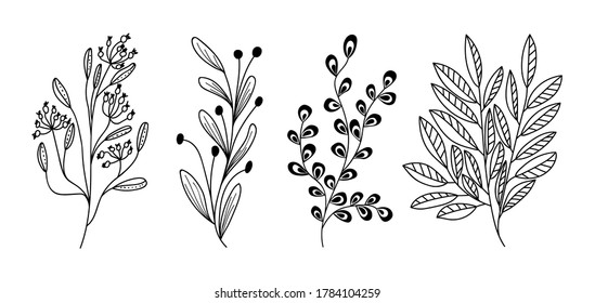 Hand drawn floral and herbal set. Vector botanical elements for decoration of invitations, greeting cards, quotes, blogs, frames on a white background.