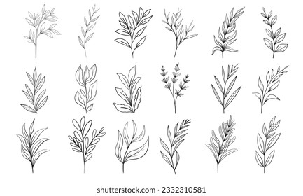Hand drawn floral herbs set elements	