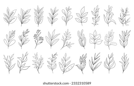 Hand drawn floral herbs set elements	