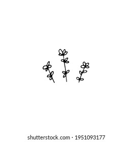 Hand drawn floral icon, vector minimalistic graphics. Small garden flowers. For branding and business identity, social media clipart. Simple elegant illustration, isolated object.