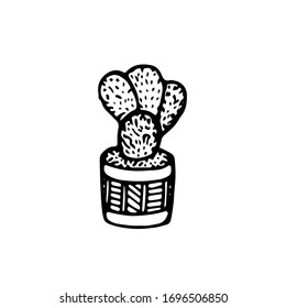 Hand drawn floral illustration isolated on the white background. Vector home cactus in flower pot. Image of home flowers in doodle flat style. Natural eco logo. Floral emblem. Exotic plant.