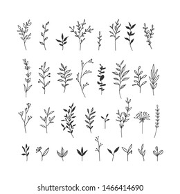 Hand drawn floral illustrations collection on white background