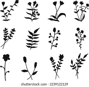 Hand drawn floral isolated silhouette