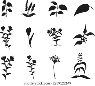 Hand drawn floral isolated silhouette