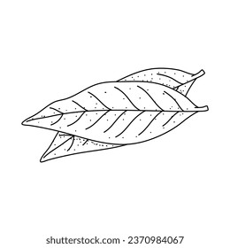 Hand drawn floral laurel leaves isolated on white background
