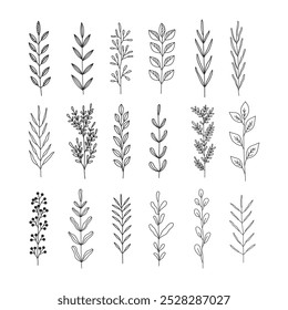 hand drawn floral leaf decoration vector spring laurel vectro