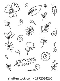 Hand drawn floral  leaves elements For wedding design, logo  greeting card isolated on white background.