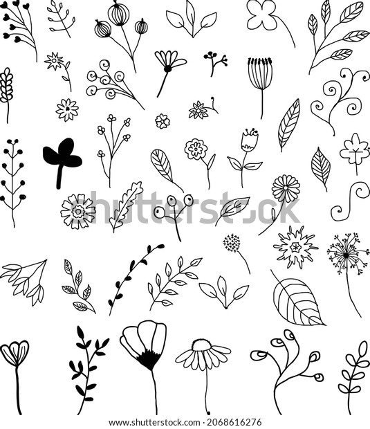 Hand Drawn Floral Leaves Elements Made Stock Vector (Royalty Free ...