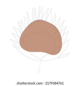 hand drawn floral leaves and flowers one line art