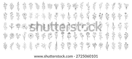 Hand drawn floral line art collection, botanical flower illustrations and wild plants in outline style, elegant sketch flowers for design decoration and branding on transparent background
