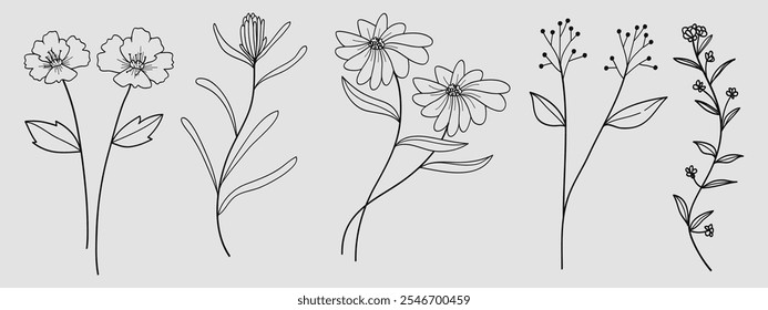 Hand drawn floral minimal elements in line art style. Greenery for decoration, wild and garden plants, branches, leaves. Vector illustration