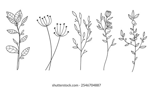 Hand drawn floral minimal elements in line art style. Greenery for decoration, wild and garden plants, branches, leaves. Vector illustration