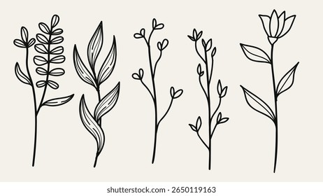 Hand drawn floral minimal elements in line art style. Greenery for decoration, wild and garden plants, branches, leaves. Vector illustration