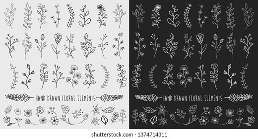 Hand Drawn Floral Ornaments