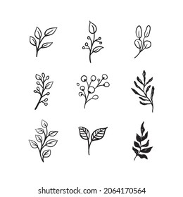 Hand drawn floral ornaments. Branches and leaves doodle collection. Decorative plants illustrations.